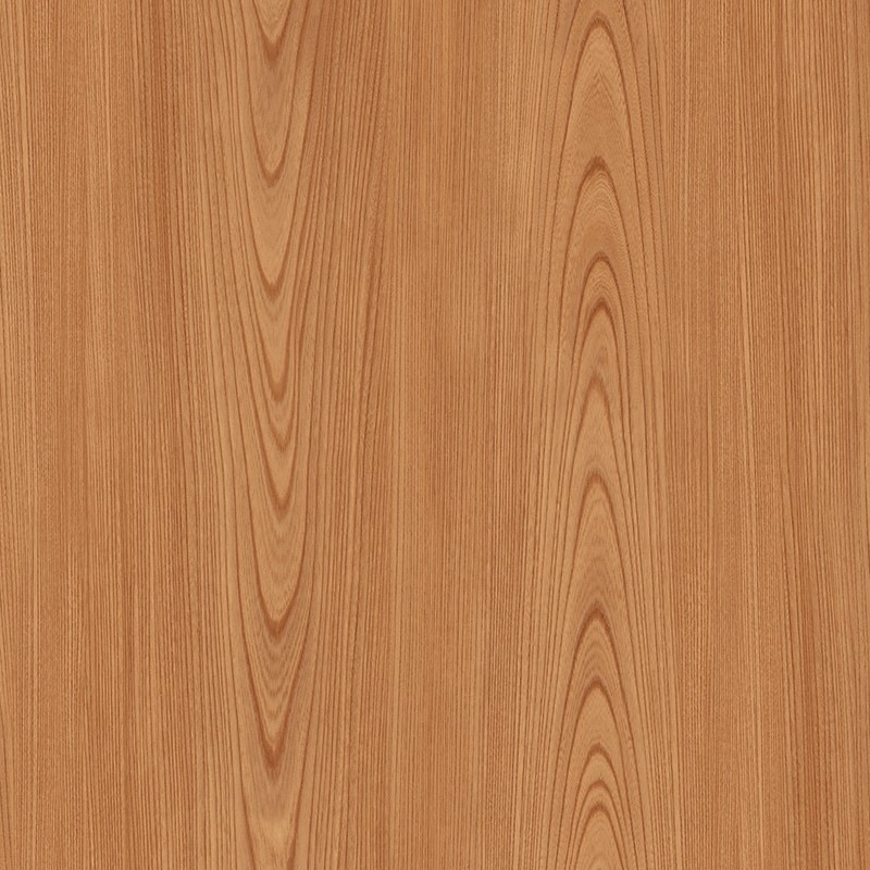 �ꥢ�ƥå� TC-4161 ݰ ���� W1220mm��50m������ sangetsu ���󥲥�