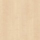 �ꥢ�ƥå� RW-5040 �����⥢ ���� W1220mm��50m������ sangetsu ���󥲥�