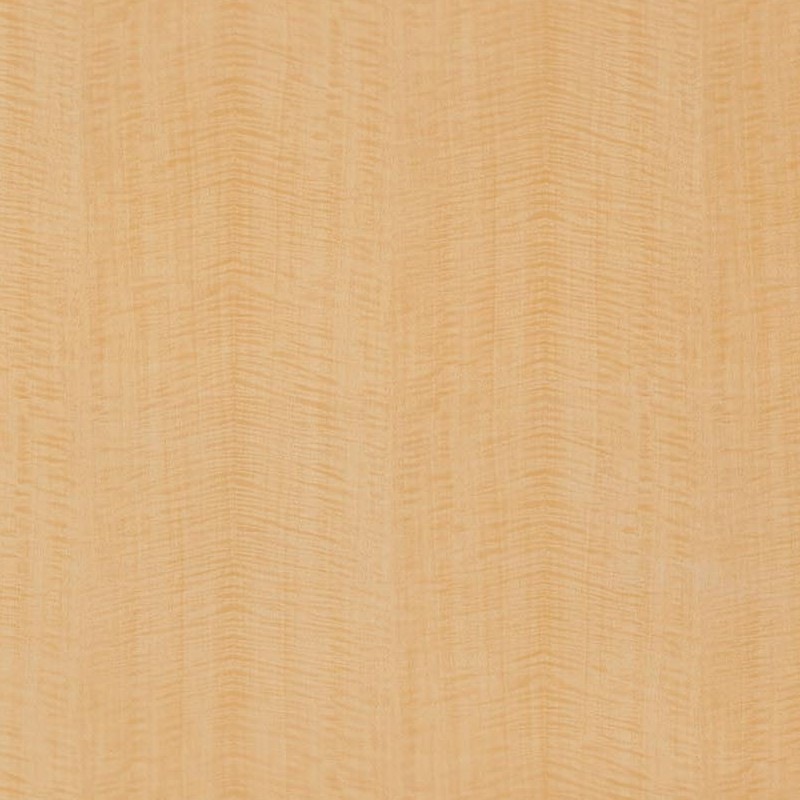 �ꥢ�ƥå� TC-4205 �����⥢ ���� W1220mm��50m������ sangetsu ���󥲥�