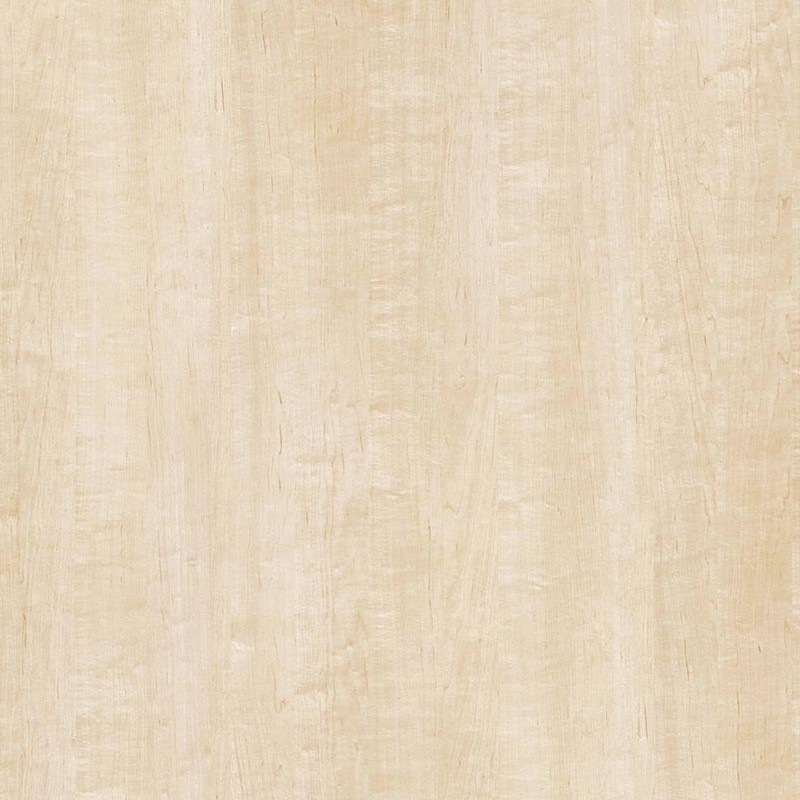 �ꥢ�ƥå� TC-4208 �ᥤ�ץ� ���� W1220mm��50m������ sangetsu ���󥲥�