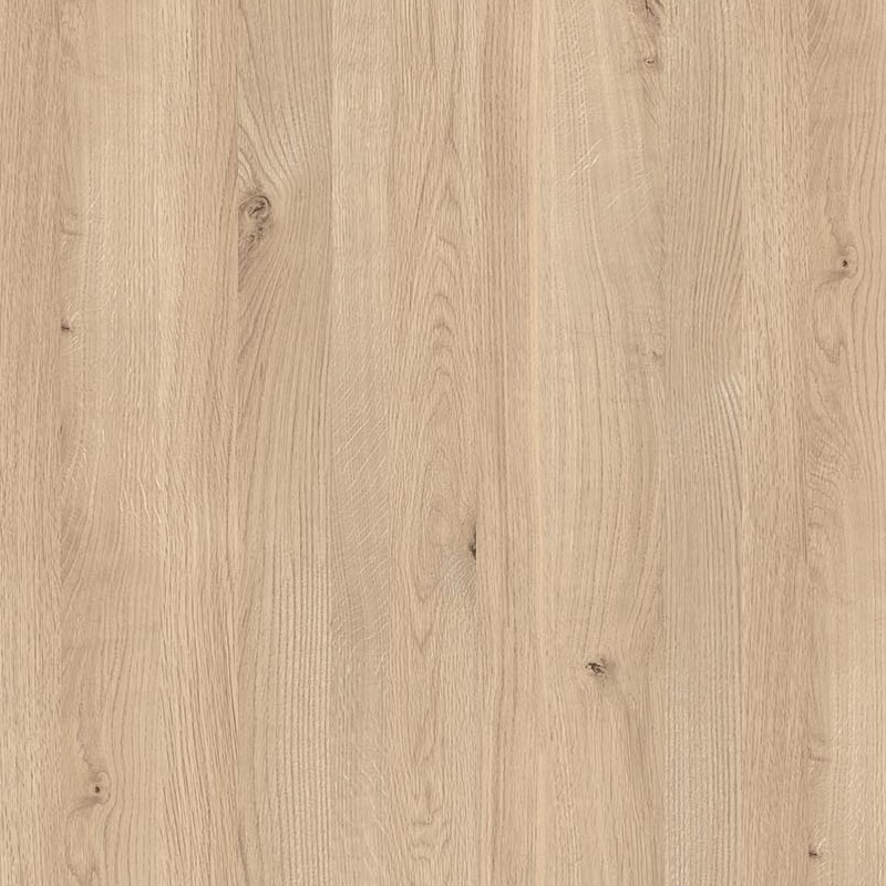 �ꥢ�ƥå� RW-5365 ������ ���� W1220mm��50m������ sangetsu ���󥲥�