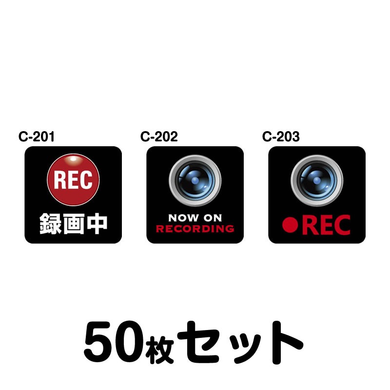 ɥ饤֥쥳ƥåʼѡˡ50祻å W120mmH120mm C-201C-202C-203 ɥ쥳 ɥ饤֥쥳 Ͽ  걿žɻ  ž к   ͳ 12cm