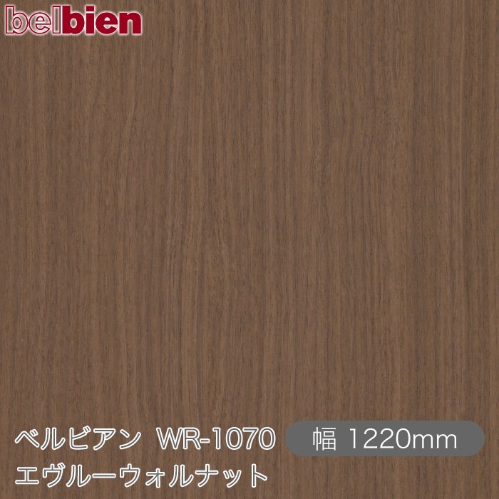�٥�ӥ��� WR-1070 �����롼������ʥå� 1220mm��1mñ������ belbien �ɻ� ������ ����ƥꥢ ��ե����� �������󥷡������������