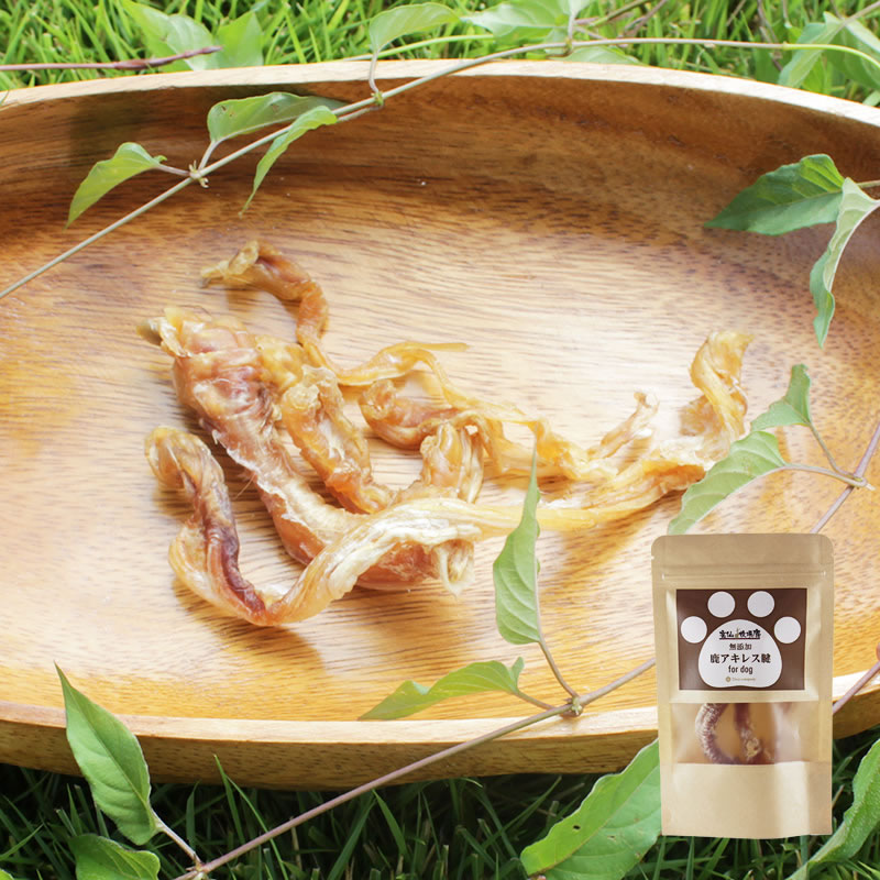 Ҿ켯Ѽ쥹秸  䴰 ̵ź ̵忧  㡼 ڥåȥա 