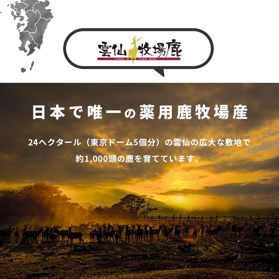 �롼���󼯤γѡ�14��ʬ����ѥå�