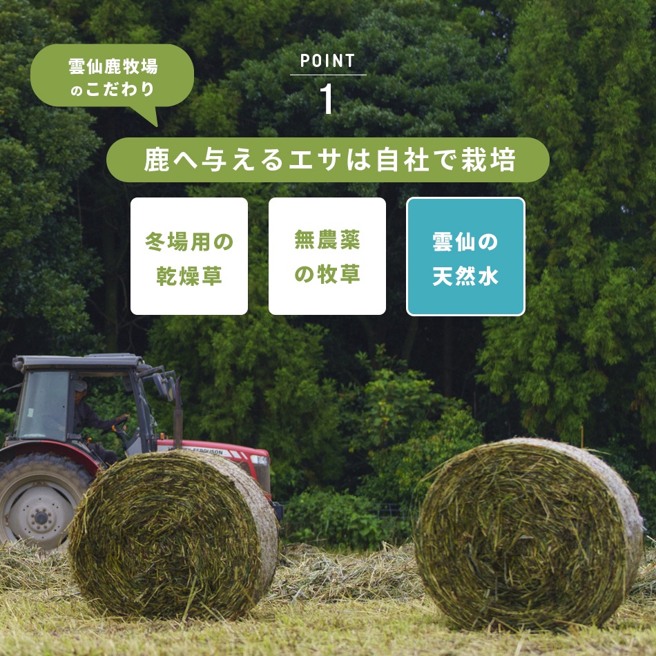 �롼���󼯤γѡ�14��ʬ����ѥå�