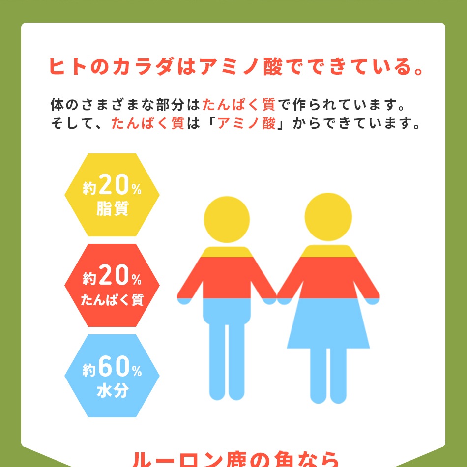 �롼���󼯤γѡ�14��ʬ����ѥå�
