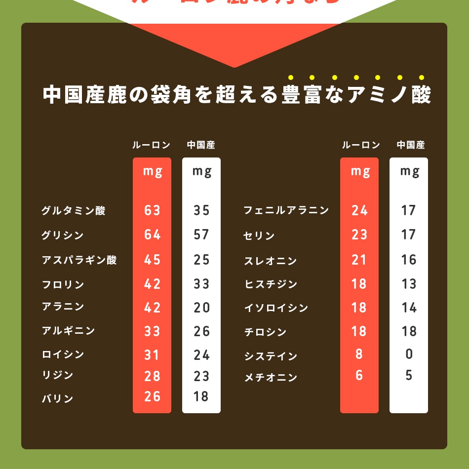 �롼���󼯤γѡ�14��ʬ����ѥå�