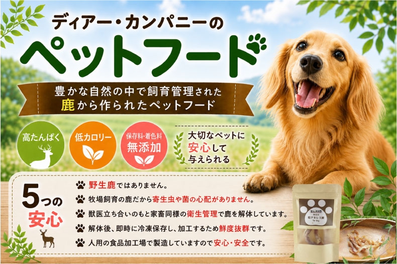 �����Ҿ켯�����Ѽ������쥹�(������)������ �� �����䴰�� ̵ź�� ̵�忧 ����� ���㡼���� �ڥåȥա��� ����