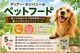 �����Ҿ켯�����Ѽ������쥹�(������)������ �� �����䴰�� ̵ź�� ̵�忧 ����� ���㡼���� �ڥåȥա��� ����