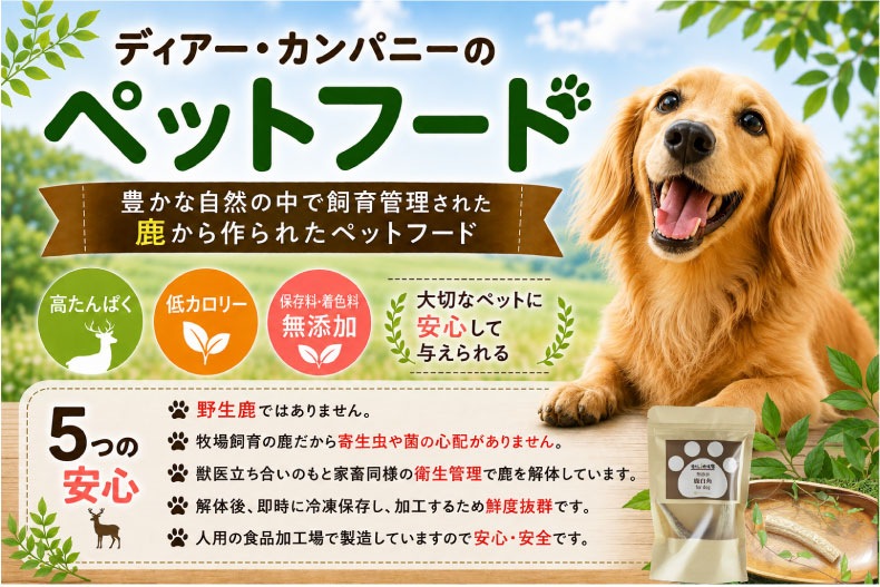 �����Ҿ켯 ���� �����(��)(��)(������)�������� �� �����䴰�� ̵ź�� ̵�忧 ����� �ڥåȥա���