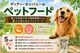 �����Ҿ켯 ���� �����(��)(��)(������)�������� �� �����䴰�� ̵ź�� ̵�忧 ����� �ڥåȥա���