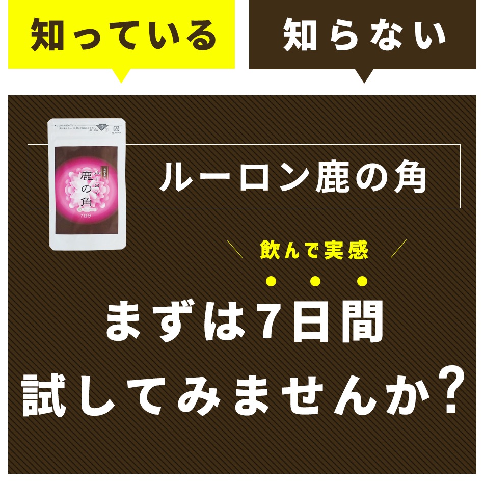 롼󼯤γѡʬѥå