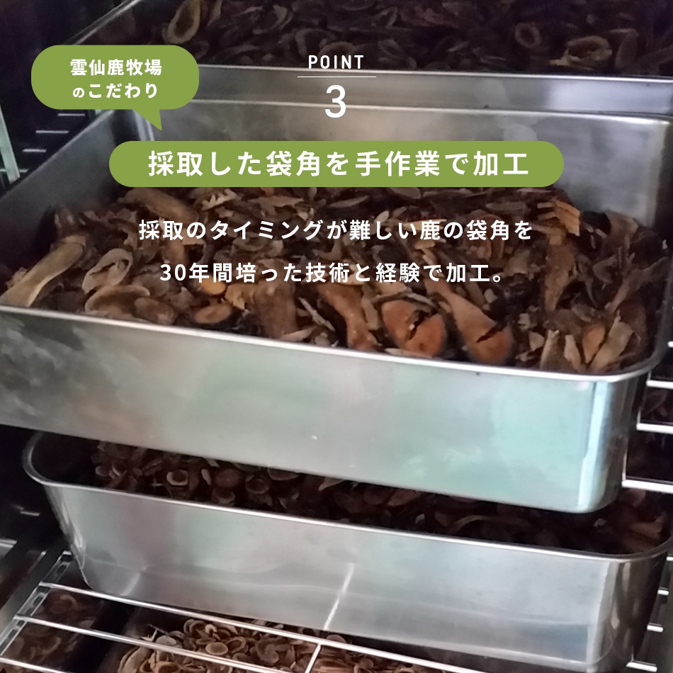 ʬѥå