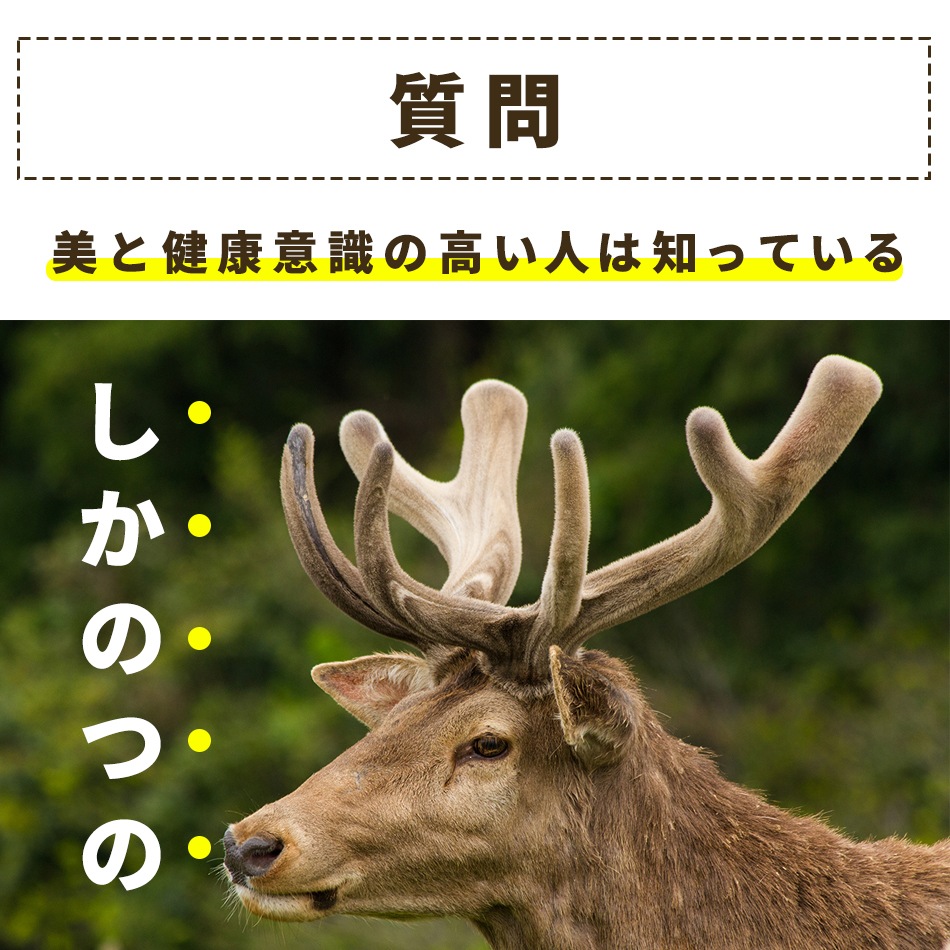 ʬѥå