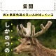 ʬѥå