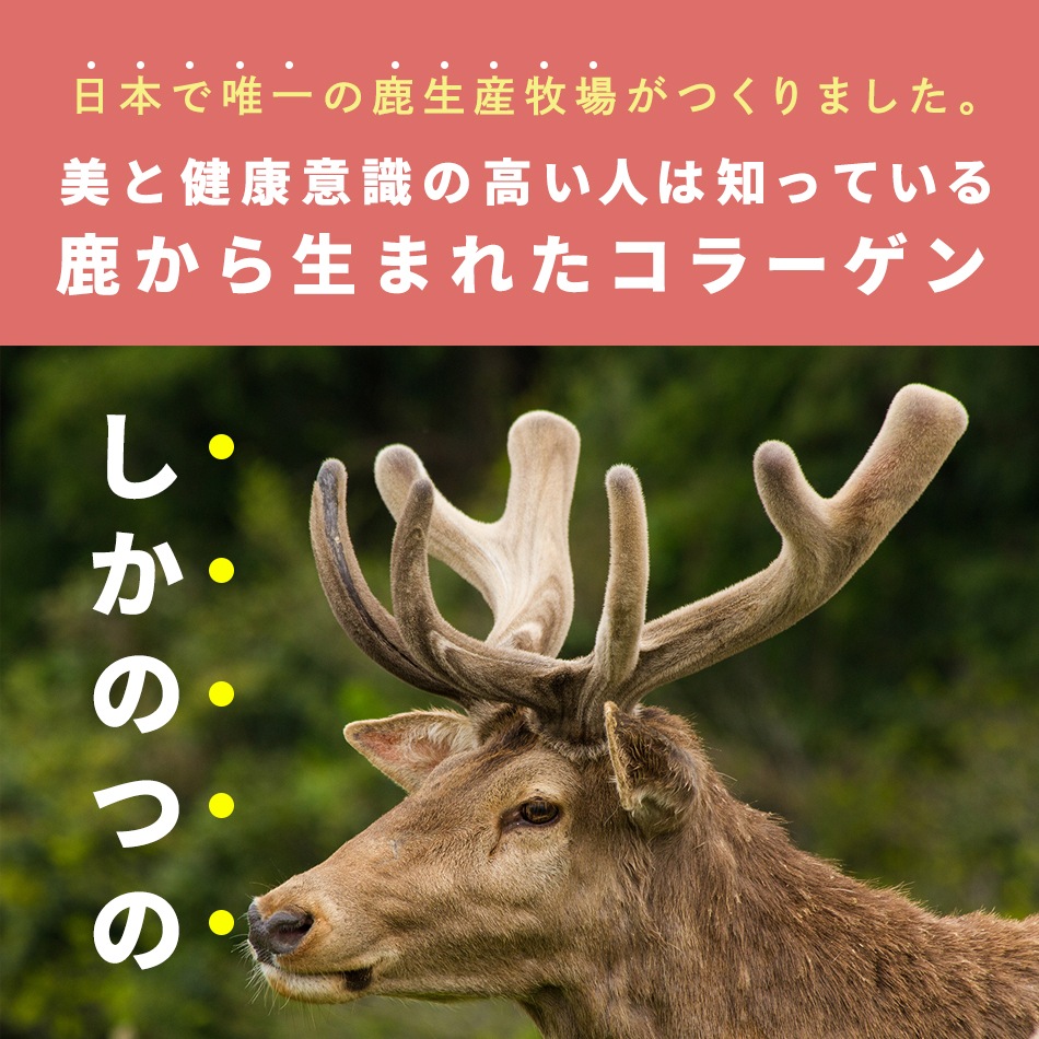 Хӥ顼14ʬѥå