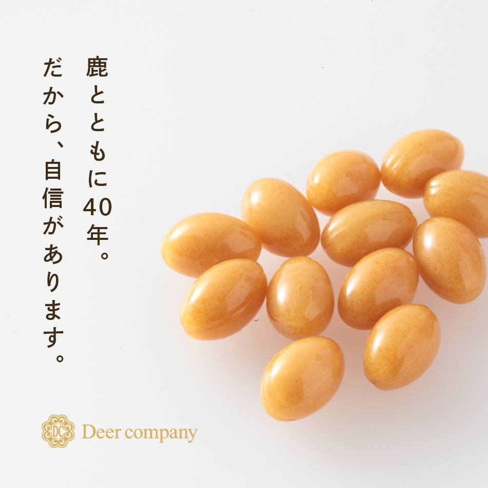 Хӥ顼14ʬѥå
