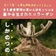 Хӥ顼14ʬѥå