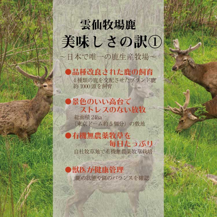 缯Ҿ켯 ¼ƽ  ͹礻10ʡ <br><br>̵   ֿ 龯ʤ   ١ ϥ ϥС ߤ