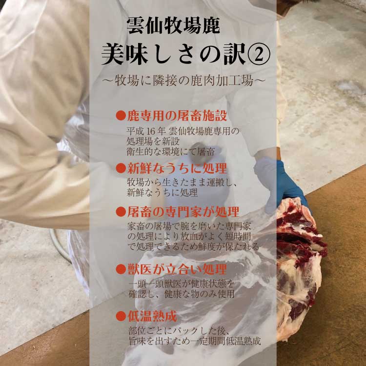 缯Ҿ켯 ¼ƽ  ͹礻10ʡ <br><br>̵   ֿ 龯ʤ   ١ ϥ ϥС ߤ