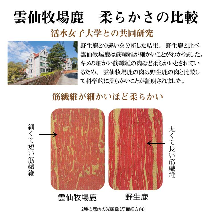 缯Ҿ켯 ¼ƽ  ͹礻10ʡ <br><br>̵   ֿ 龯ʤ   ١ ϥ ϥС ߤ