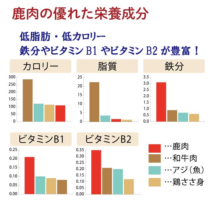 缯Ҿ켯 ¼ƽ  ͹礻10ʡ <br><br>̵   ֿ 龯ʤ   ١ ϥ ϥС ߤ