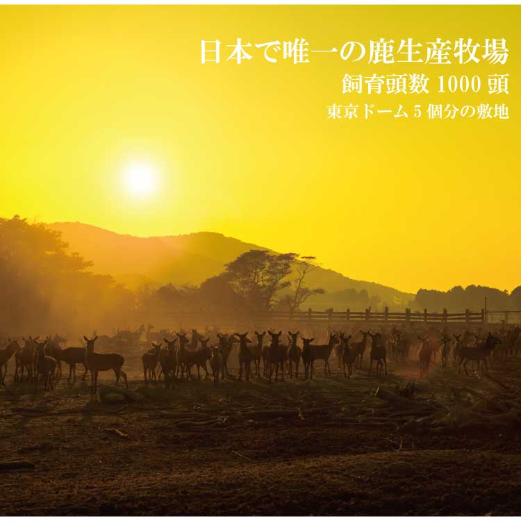 缯Ҿ켯 ¼ƽ  ͹礻10ʡ <br><br>̵   ֿ 龯ʤ   ١ ϥ ϥС ߤ