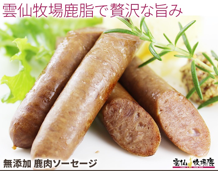 缯Ҿ켯 ¼ƽ  ͹礻10ʡ <br><br>̵   ֿ 龯ʤ   ١ ϥ ϥС ߤ