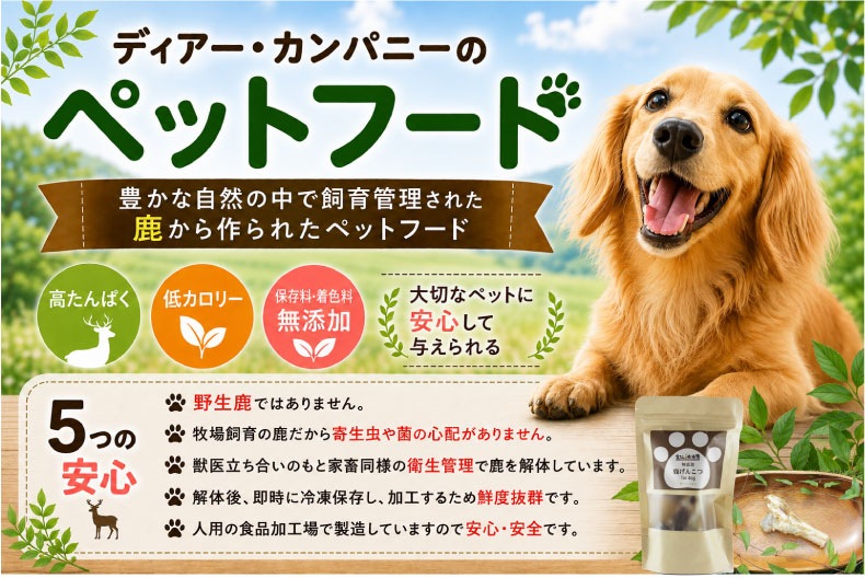 �����Ҿ켯 ���Ѽ����󤳤�(��)(��)(������)������ �� �����䴰�� ̵ź�� ̵�忧 ����� ���㡼���� �ڥåȥա���