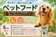 �����Ҿ켯 ���Ѽ����󤳤�(��)(��)(������)������ �� �����䴰�� ̵ź�� ̵�忧 ����� ���㡼���� �ڥåȥա���