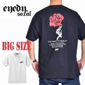 �礭�������� ��� EYEDY �����ǥ��� Ⱦµ�ԥ���� HOTROSE �� �֥�å� �� �ۥ磻�� XXL XXXL 