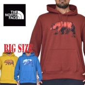 SALE 礭  Ρե THE NORTH FACE ץ륪С ѡ ΢ӥå BEARSCAPE 2 PULLOVER HOODY USAǥ XL XXL