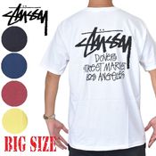 STUSSYロサンゼルス購入　Mサイズ 中古・古着通販】stussy (ステューシー) haze world tour tee