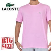 SALE 礭  Lacoste 饳 롼ͥå Ⱦµԥ ݥ ԥ XL XXL XXXL XXXL 
