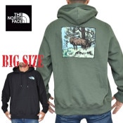 礭  Ρե ץ륪С ѡ å աǥ USAǥ THE NORTH FACE GRAPHIC INJECTION HOODIE XL XXL