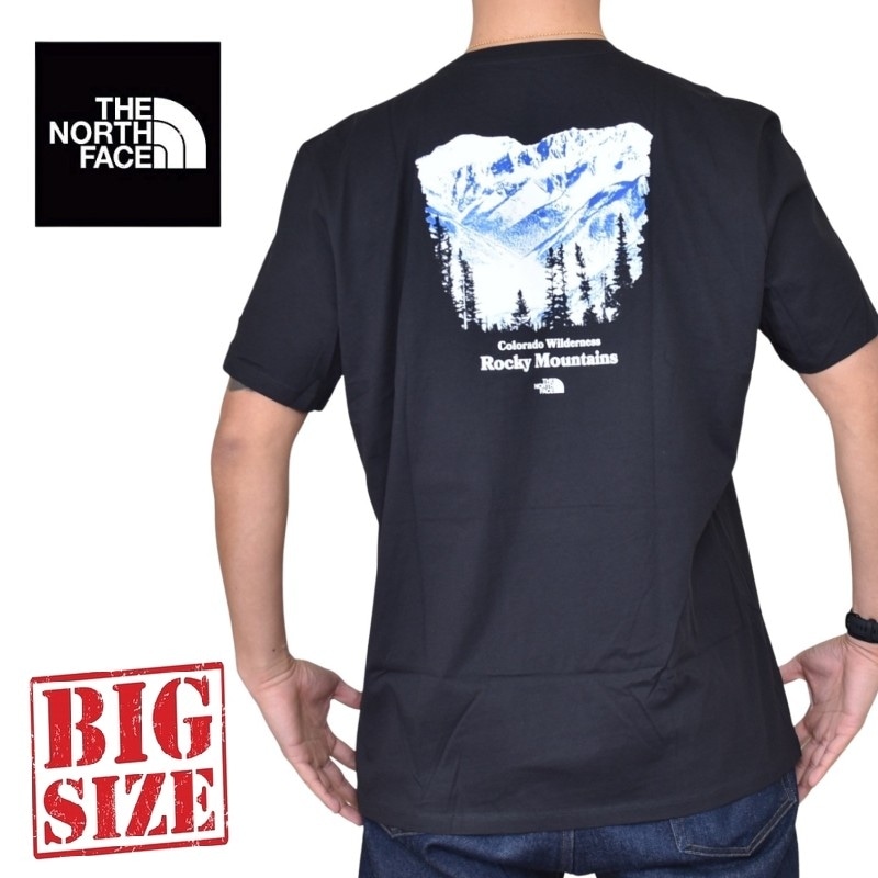 THE NORTH FACE S/S FD Cotton Polo XLサイズ THE NORTH FACE ポロシャツ FACE SHORT-SLEEVE FD COTTON POLO