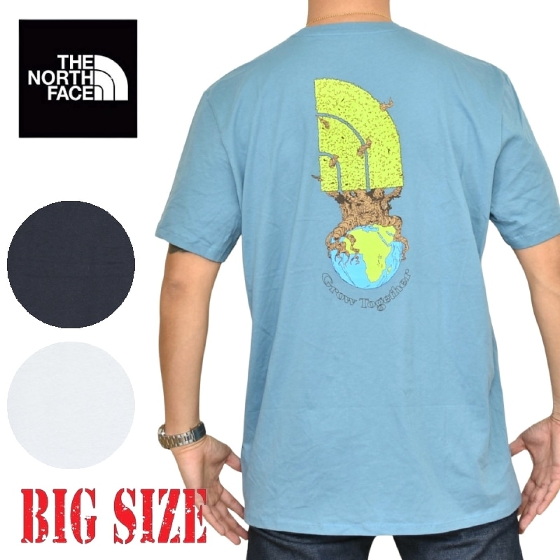 大きいサイズ メンズ ノースフェイス THE NORTH FACE 半袖 T