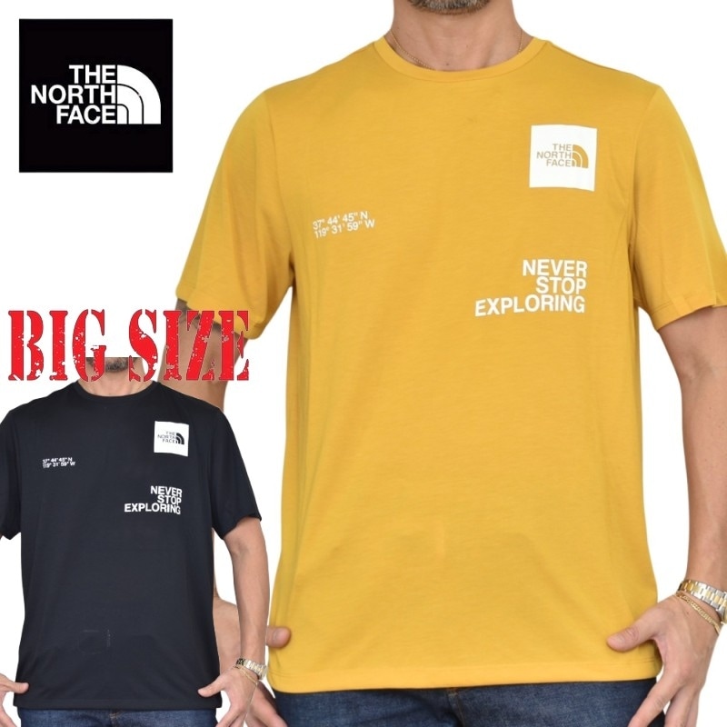 大きいサイズ メンズ ノースフェイス 半袖 Tシャツ EUモデル THE