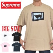 礭  Supreme ץ꡼ Damien Hirst Tee Ⱦµ T XXL