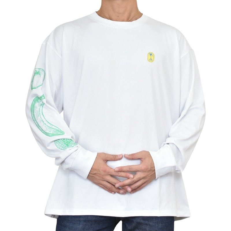 大きいサイズ メンズ NIKE ACG ナイキ クルーネック アームプリント