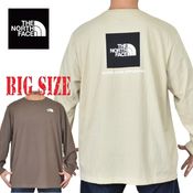 �礭�������� ��� �Ρ����ե����� ����T Ĺµ �ԥ���� THE NORTH FACE EVOLUTION BOX NSE REGULAR LS TEE XXL