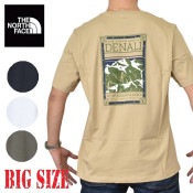 �礭�������� ��� �Ρ����ե����� THE NORTH FACE Ⱦµ �Хå��ץ��� �ԥ���� REGULAR SHORT SLEEVE TEE EU�饤�� �衼���åѥ�ǥ� �� �� �֥�å� �ۥ磻�� XL XXL