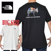 �礭�������� ��� �Ρ����ե����� THE NORTH FACE Ⱦµ �ԥ���� �ץ��� Evolution Pack Short-Sleeve Tee Graphic XL XXL XXXL