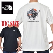 �礭�������� ��� �Ρ����ե����� THE NORTH FACE Ⱦµ �ԥ���� �ץ��� Evolution Vault Tri Pack Short-Sleeve Tee Graphic XL XXL XXXL