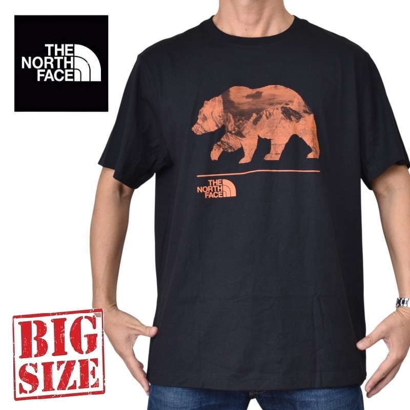 THE NORTH FACE （ノースフェイス） | 大きいサイズメンズBigSizeDEF