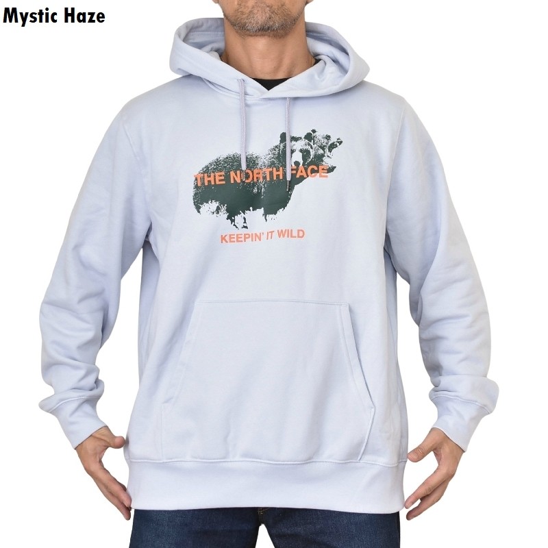 �礭�������� ��� �Ρ����ե����� �ץ륪���С� �ѡ����� �������å� �ա��ǥ��� USA��ǥ� THE NORTH FACE IMMERSED OUTDOORS HALF DOME HOODIE XL XXL