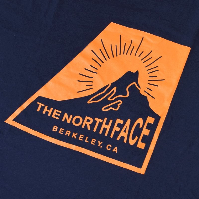 SALE 礭  Ρե THE NORTH FACEȾµ ԥ Хåץ SS NOVELTY GRAPHIC TEE ͥӡ STANDARD FIT XL XXL XXXL [M 1/1]
