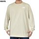 �礭�������� ��� �Ρ����ե����� ����T Ĺµ �ԥ���� THE NORTH FACE EVOLUTION BOX NSE REGULAR LS TEE XXL