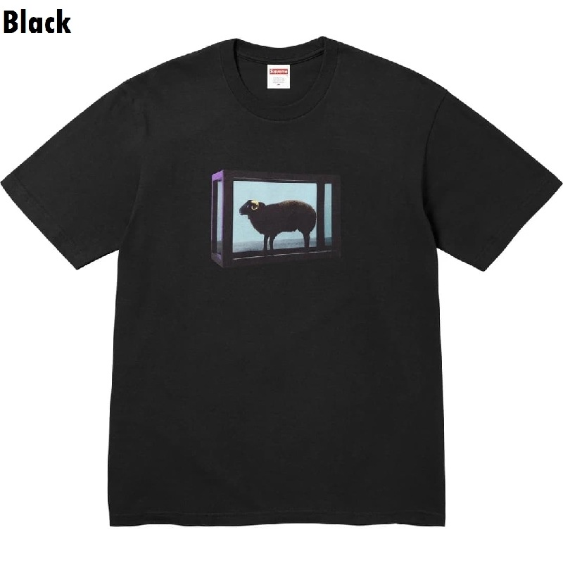 �礭�������� ��� Supreme ����ץ꡼�� Damien Hirst Tee Ⱦµ T����� XXL